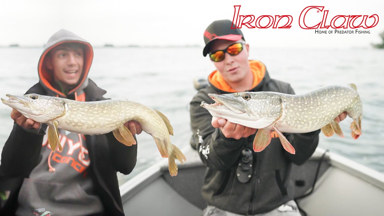 Spinnfischen auf Hecht vom Boot | Nontoxic-Gummifische und japanische Hardbaits vs Raubfische