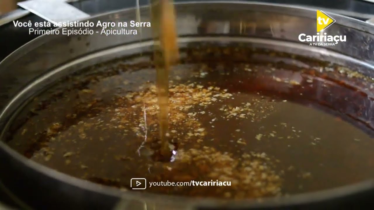 Produção de mel em Caririaçu-Ceará