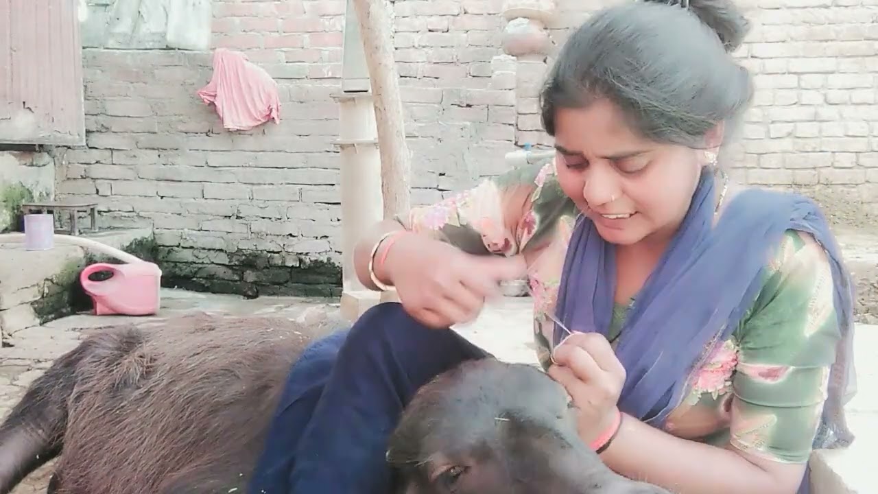 Banno Teri# akhiyan Surma dani 😂😂😂 comment mein #batana blog kesa laga 🙏
