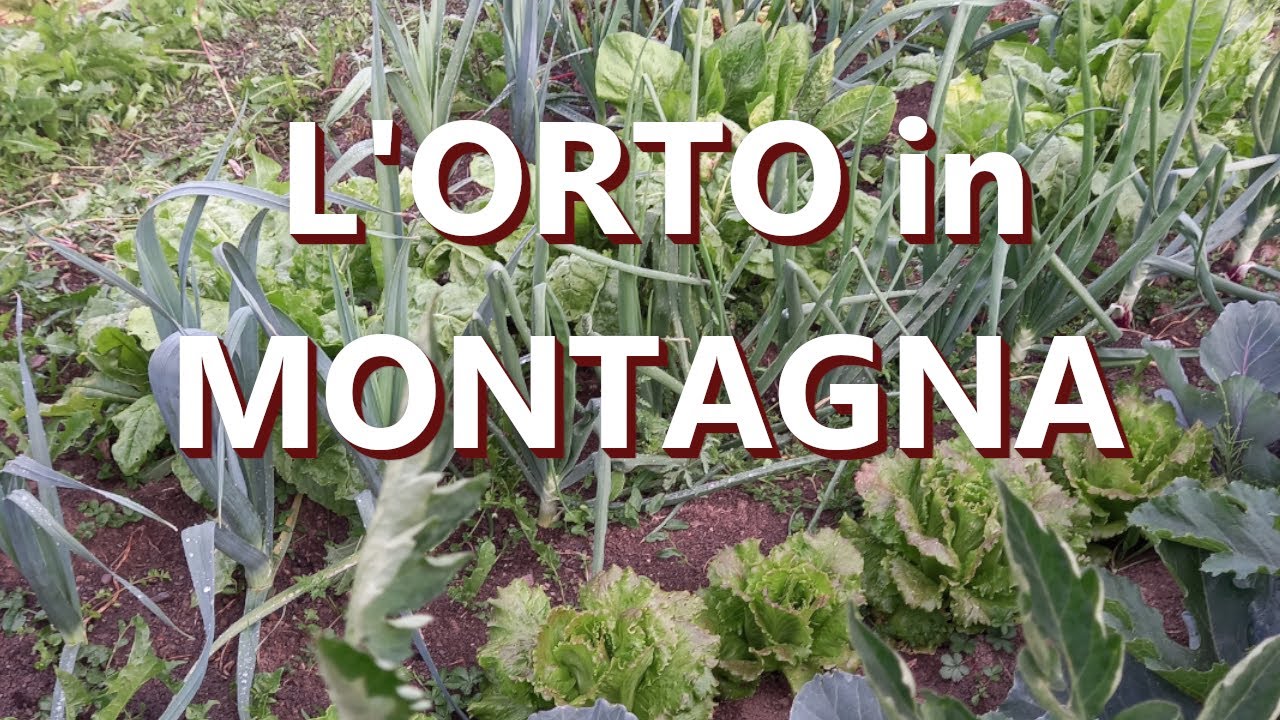 Il mio orto in montagna (2024)