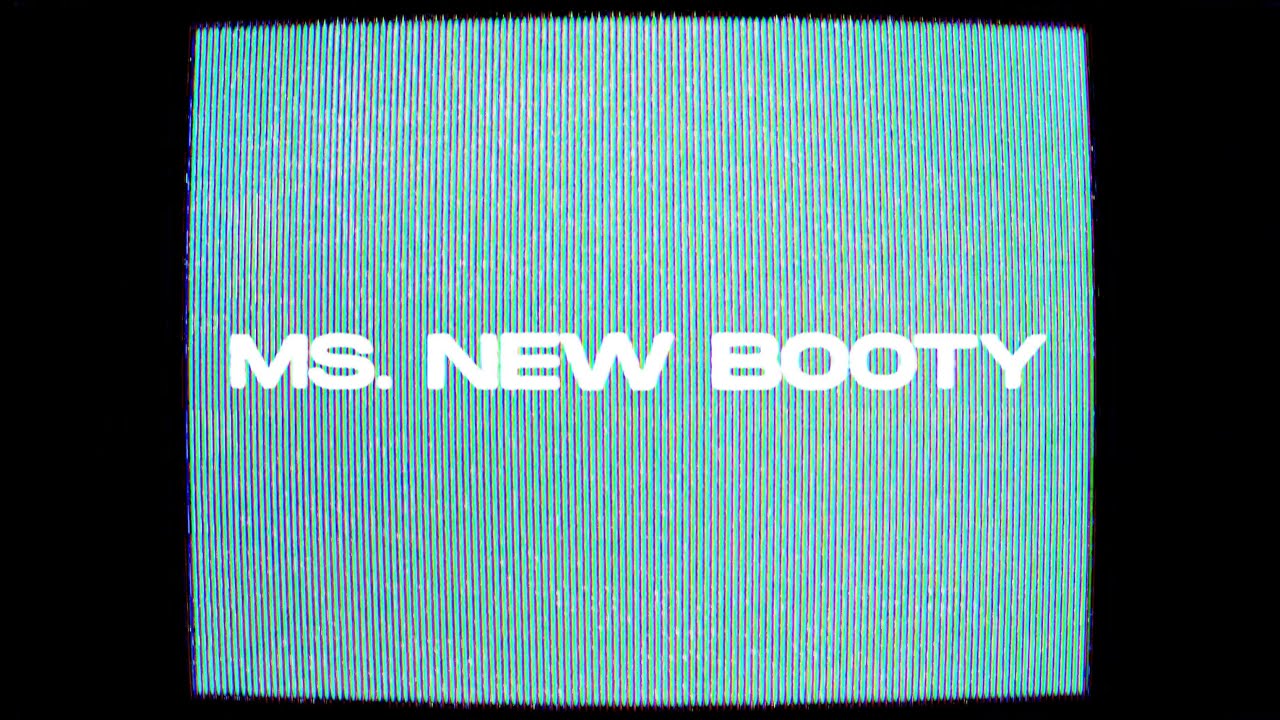 Designer Disguise - Ms. New Booty (Originally Performed by Bubba Sparxxx) [Official Visualizer]