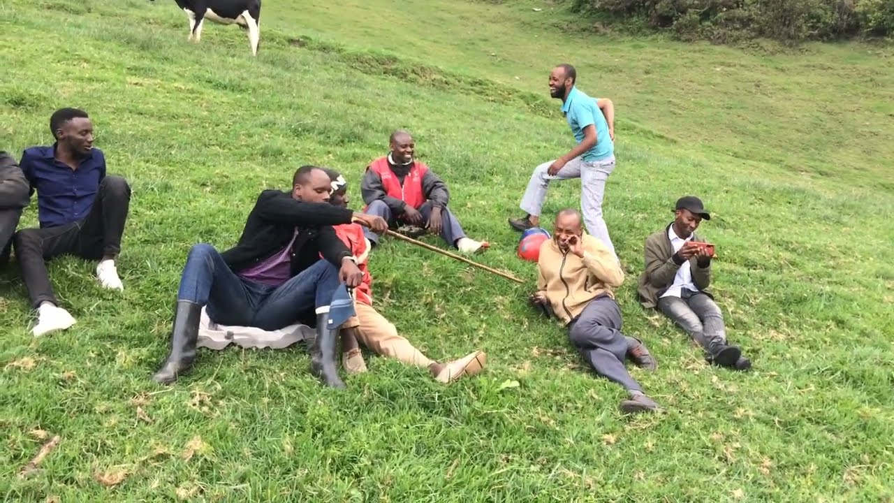 IGISHYENGO CYA PATRICK N' #ABAGOGWE MURI GISHWATI. (inka za rushemeza)
