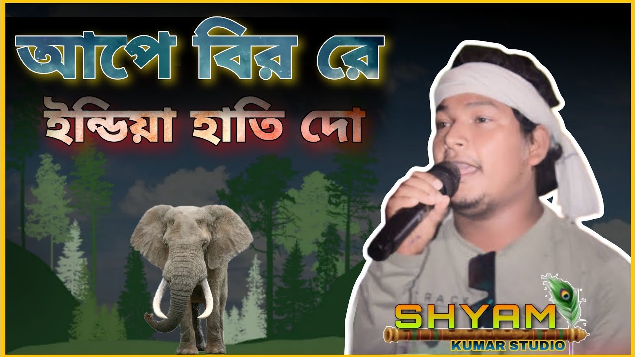 CHARAN KUMAR SAREN NEW SANTALI FANSAN SONG 2023 #santali_program_video #newsantalivideo2022