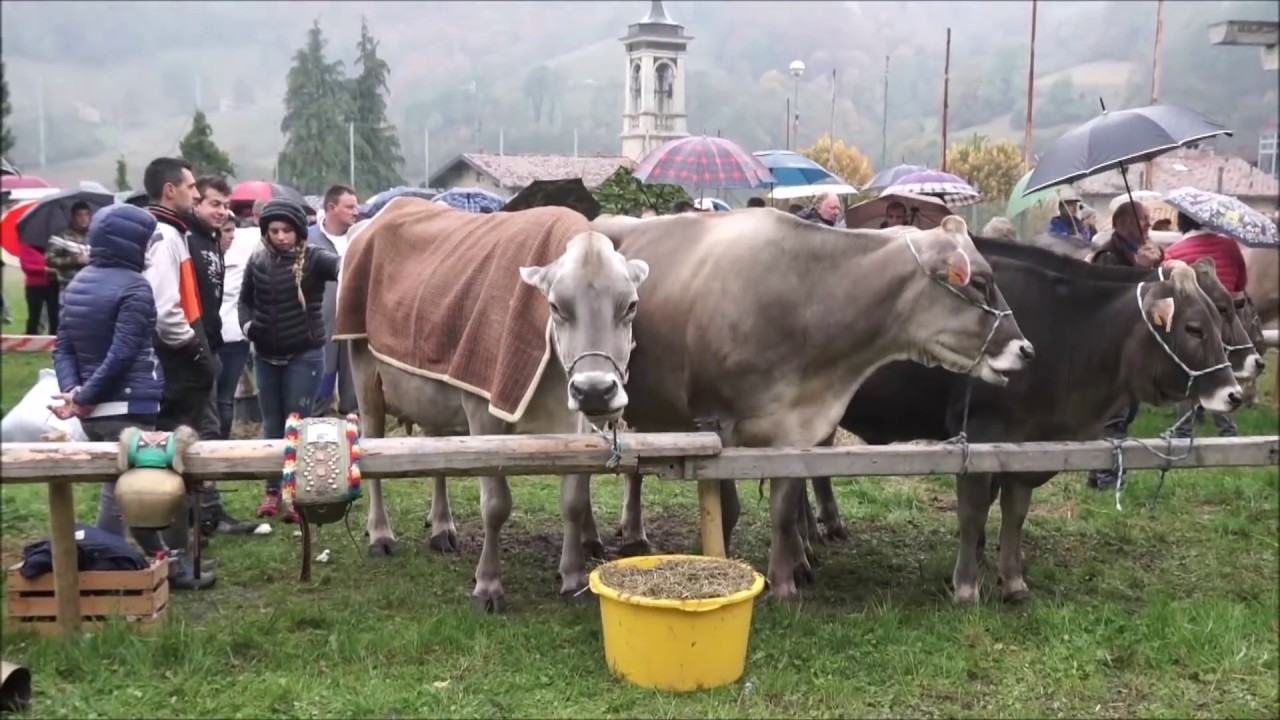 La Regina e Reginetta delle Valli, Serina 23-10-2016