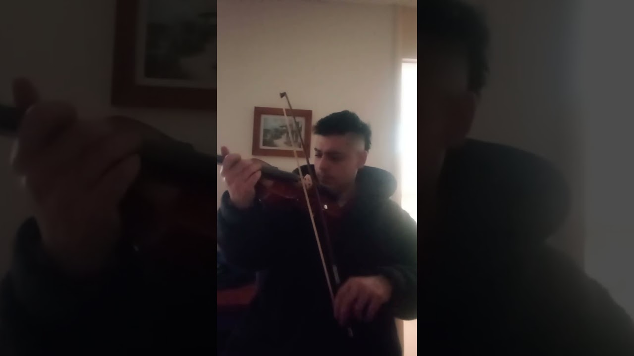 Classical master violinist 