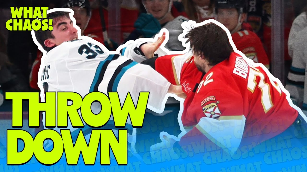 Aren't goalie fights the coolest?