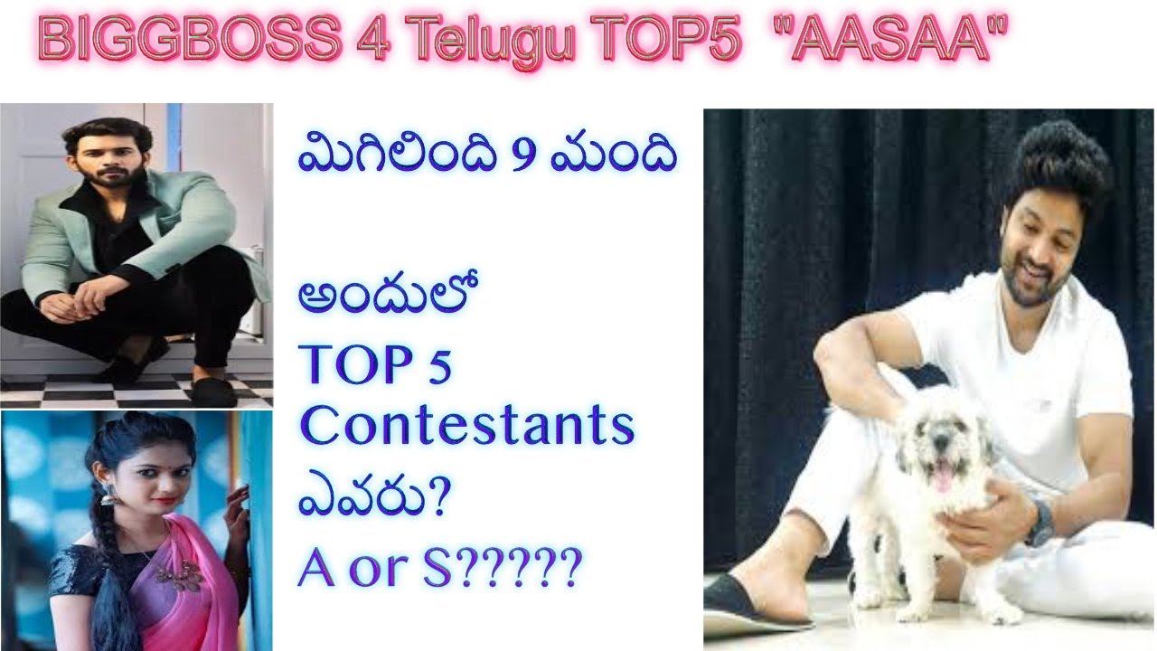 Top 5 Contestants Of Bigg Boss 4 Telugu | A Vs S || Sohel | Abhi | Akhil | Lasya | Harika |BB4Telugu
