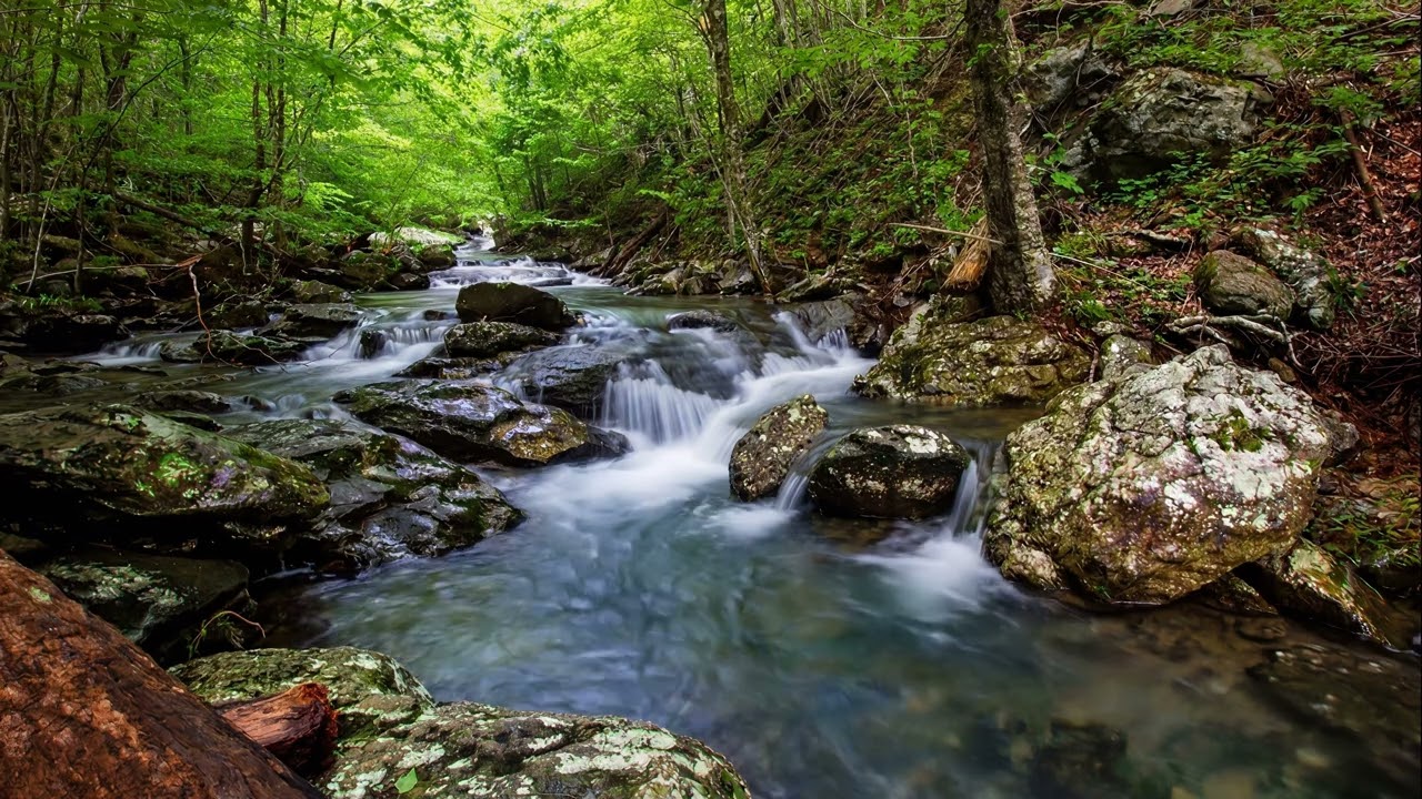 Forest Stream Over Rocks | Relaxing Pink Noise Nature Sounds | Trip Sit Ambience (4K TV)
