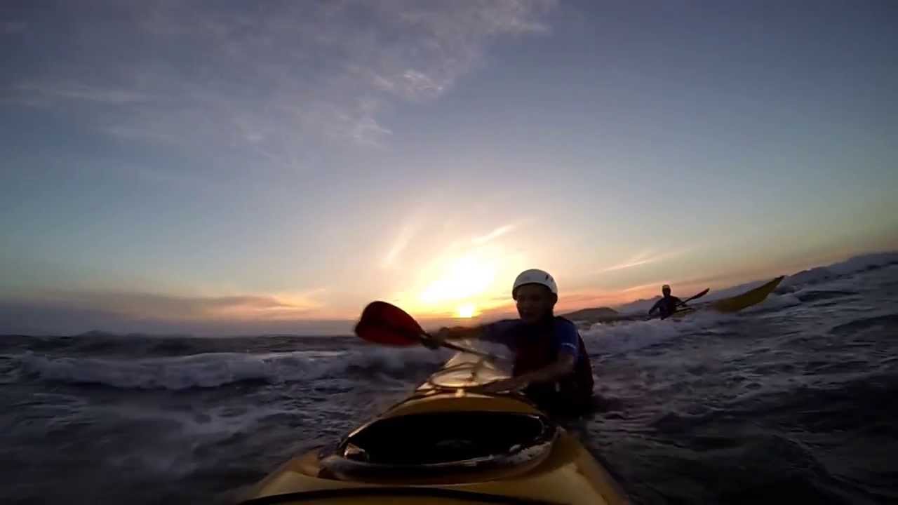 Life in the Surf Zone