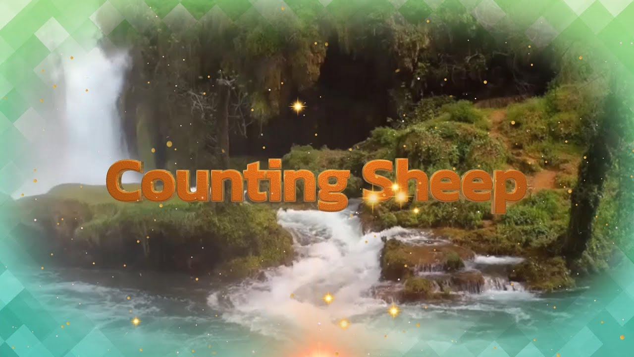 They Laughed at “Counting Sheep”… Until They Tried This Music 🐑🎹