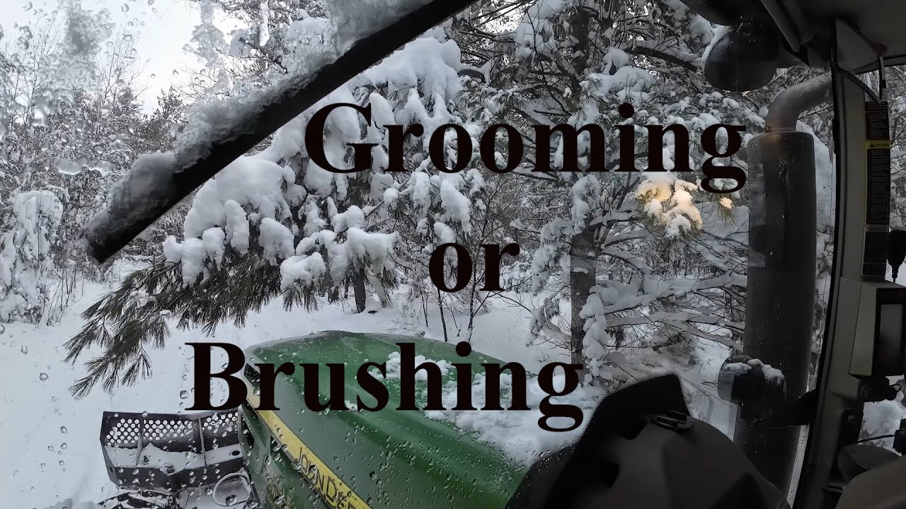 Ep 39 25 First Groom of the year or was it Brushing.