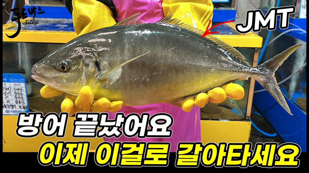 방어는 끝났아요  이제 이걸로 갈아타세요 ~  이번주는 ? 노량진수산시장 20260312