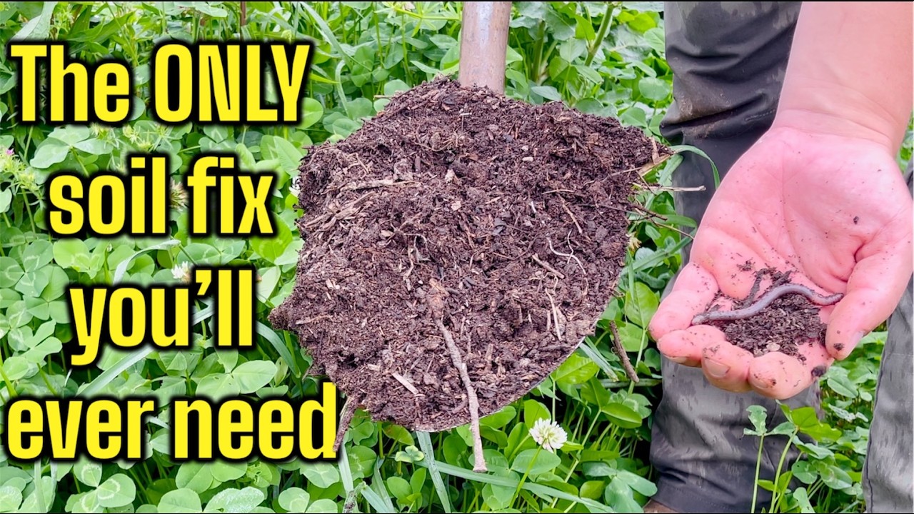 1 Method to Fix ANY Soil, the Lazy Way