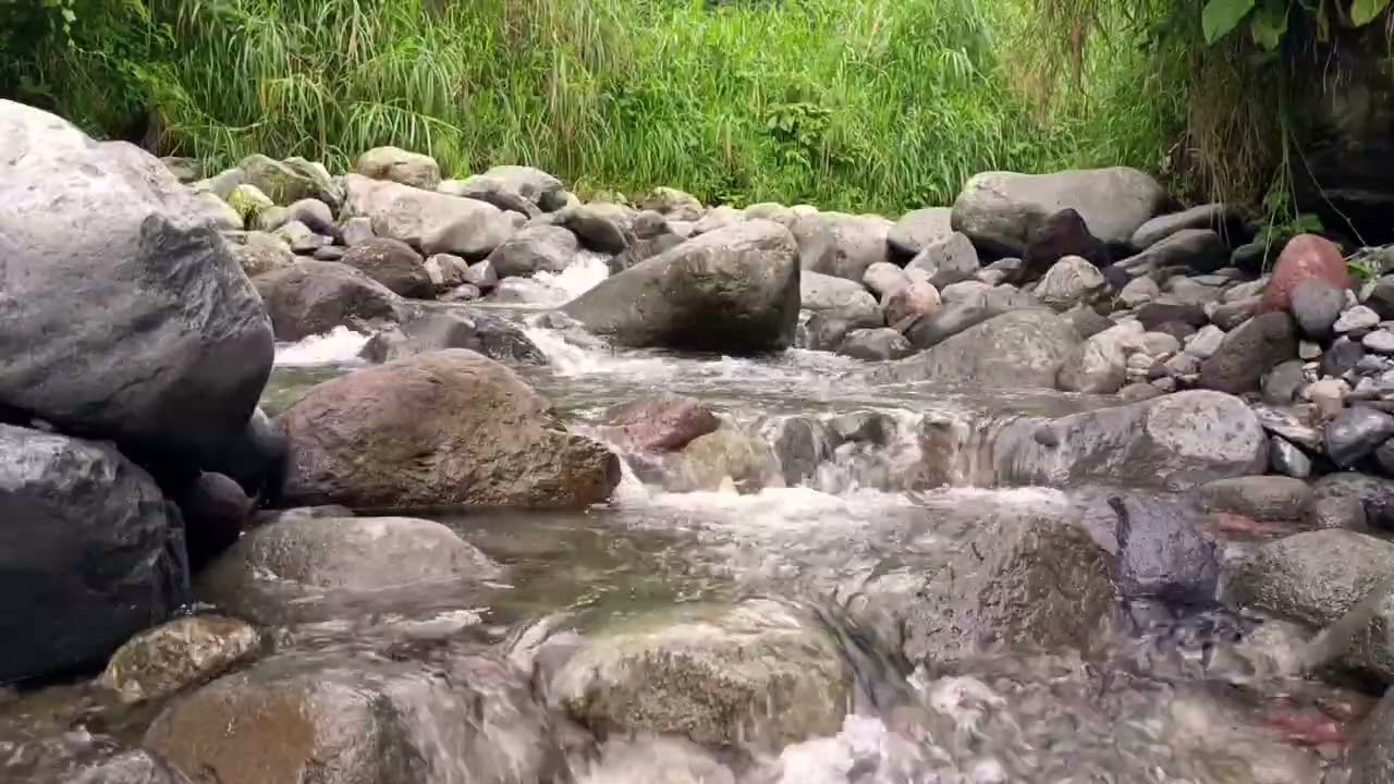 Starry Night River – Calm Ambience