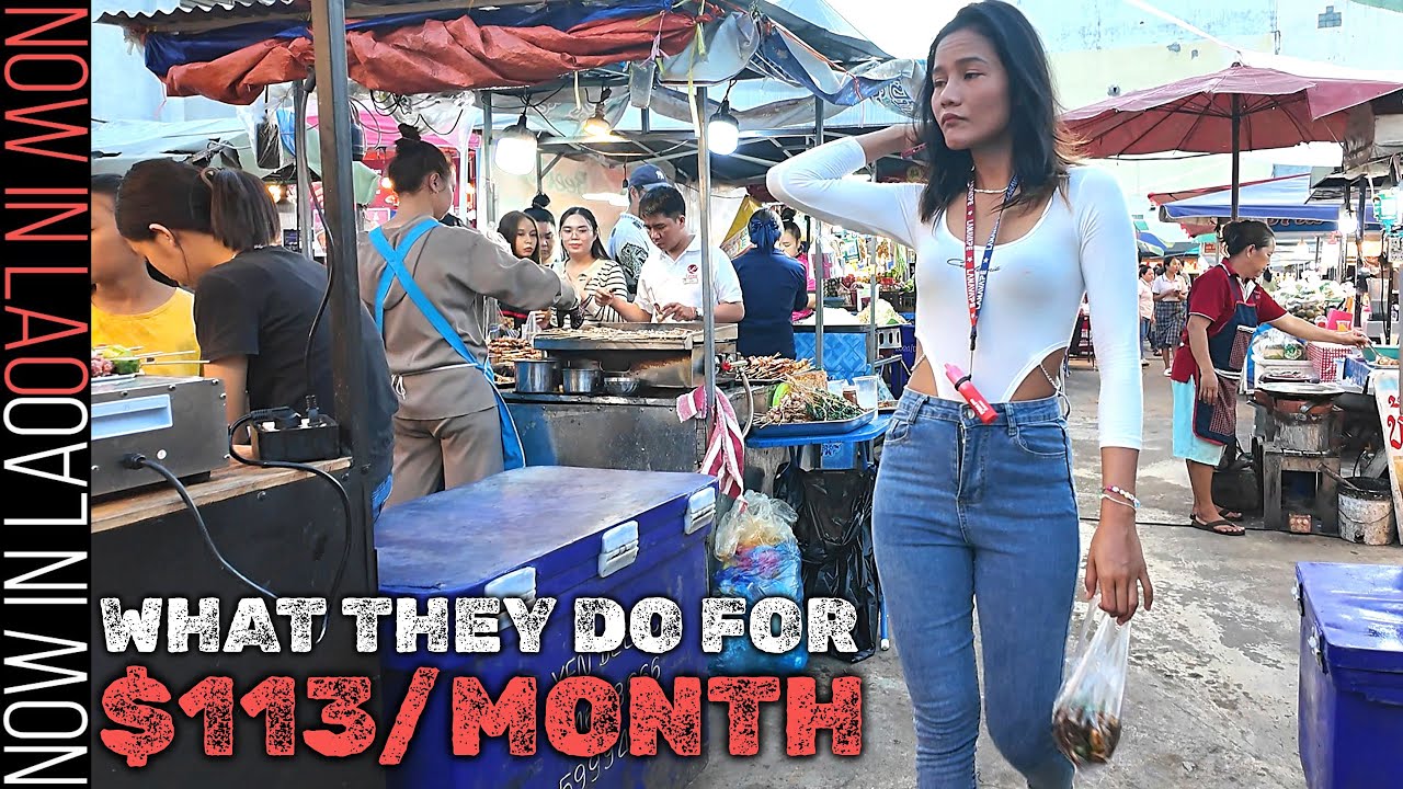 What They Do & How They Survive on $113 / Month | Now in Lao