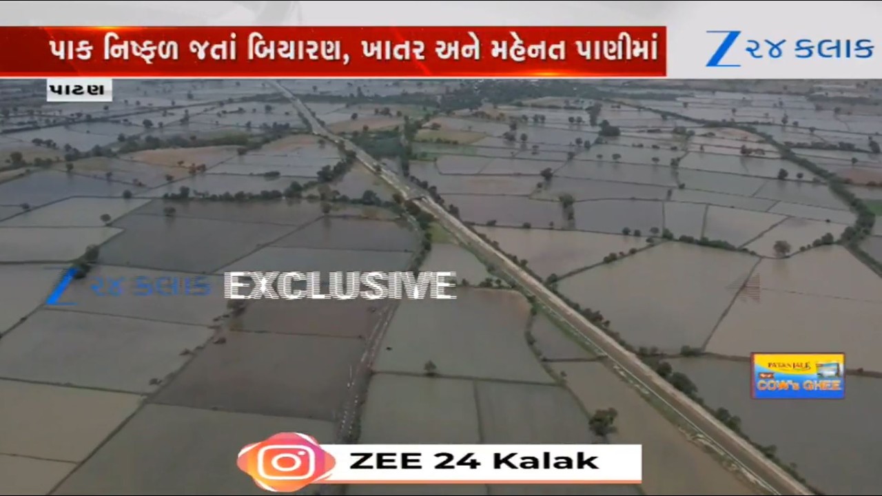 Farmers face crop loss due to heavy rains in Patan's Radhanpur; aerial view shows waterlogged fields