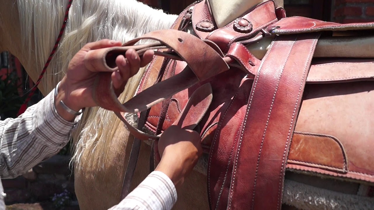 Tips al ensillar un caballo.De caballos con Fer Trujillo