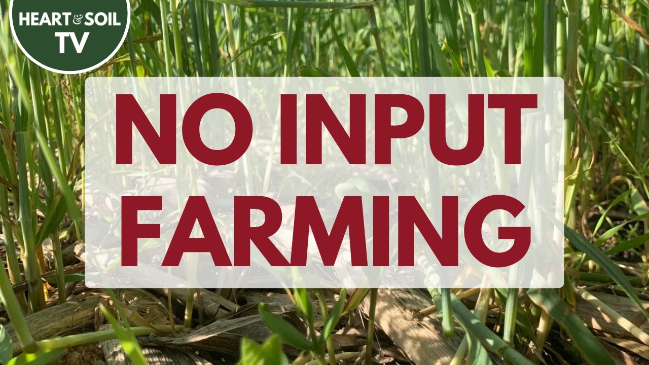 Increase Your Soil Health and Your ROI | Rick Clark, Farm Green #regenerativeagriculture