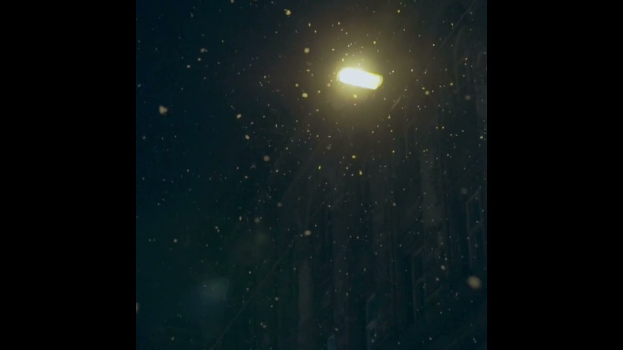 The Night