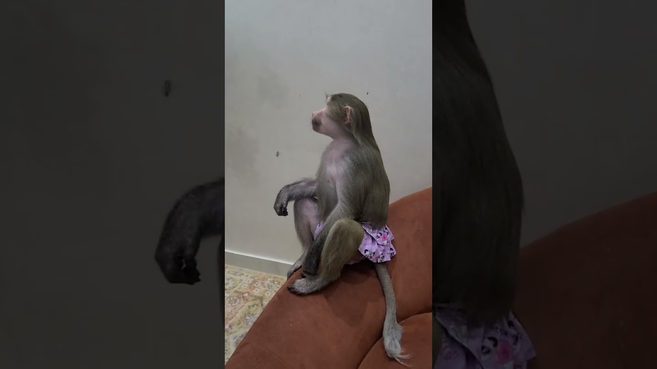 Шарики какие то не качественные🤣🤣🤣
