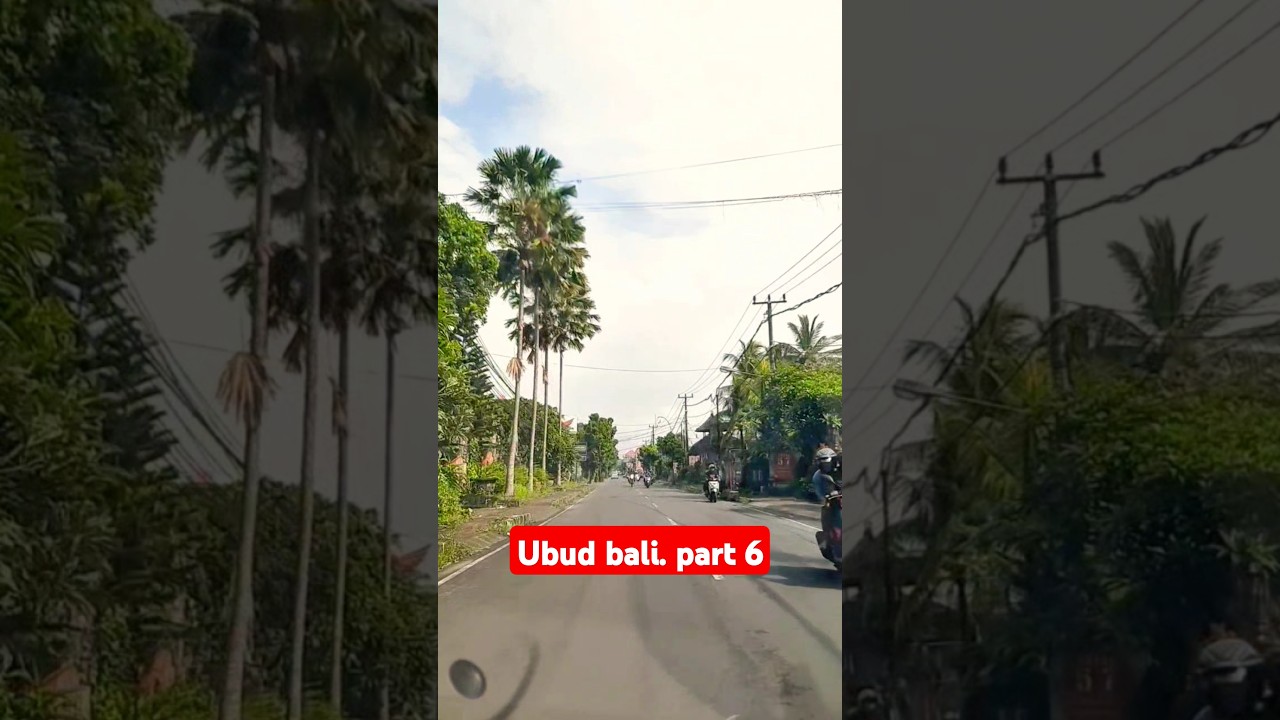 Jl.cok rai pudak.ubud bali.##shorts #automobile #travel #infojalanjalan #trendingshorts