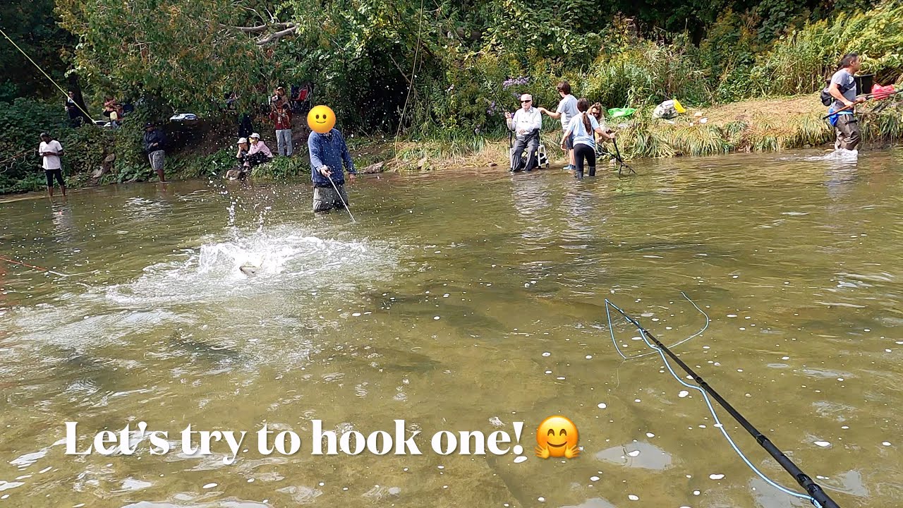 When Salmon Fishing Turns into a Test of Patience!
