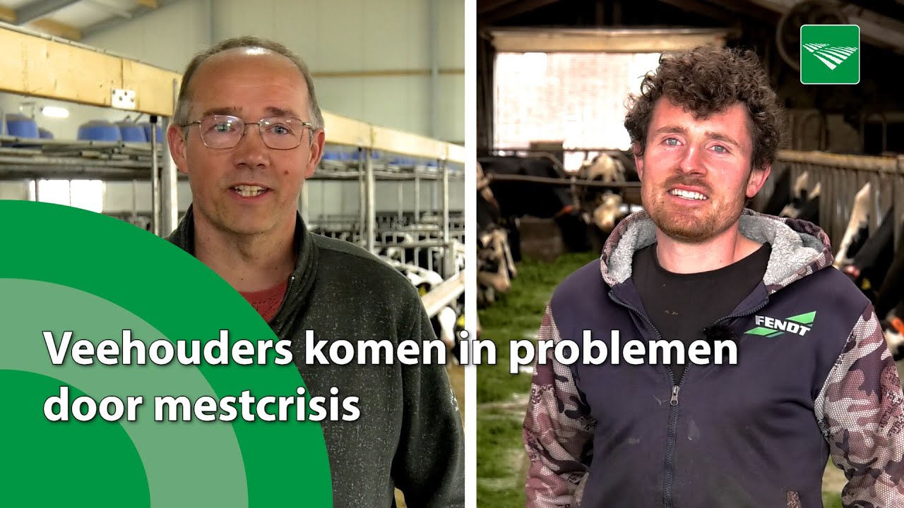 Veehouders komen in problemen door mestcrisis