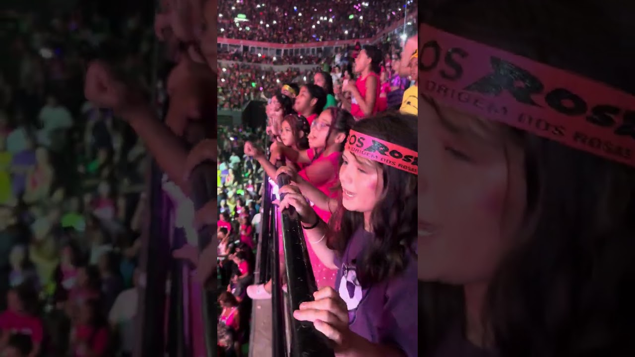 Bloco dos Rosas no RJ - Sonho realizado! 💕