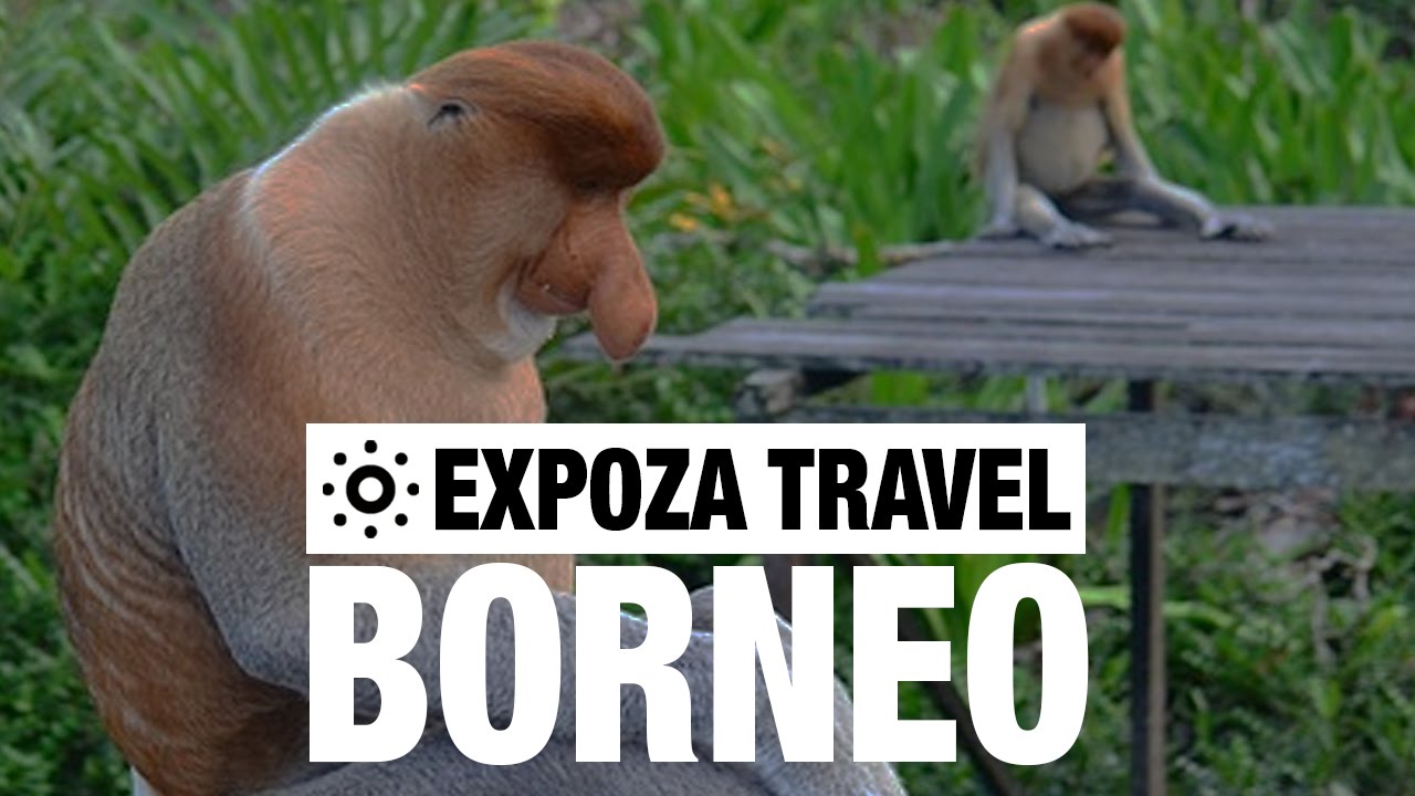 Borneo Vacation Travel Video Guide