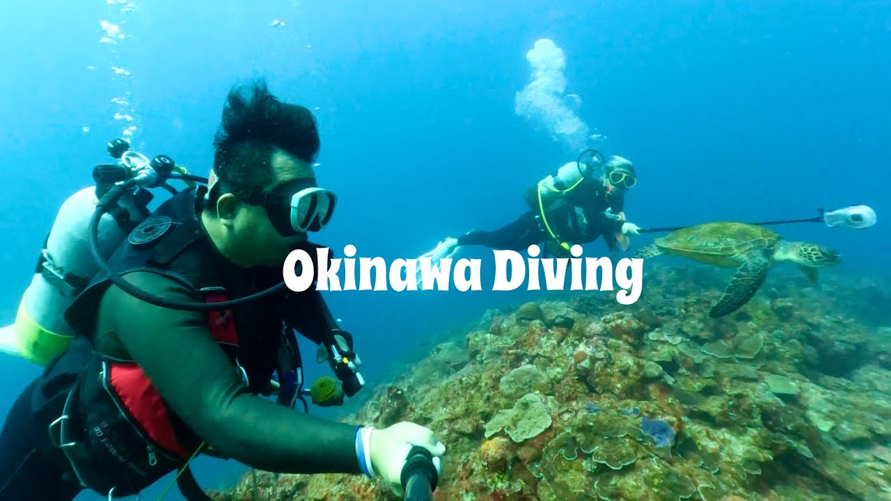 ウミガメ遭遇率99%の沖縄真栄田岬でダイビング。最近のホームがここです。笑
