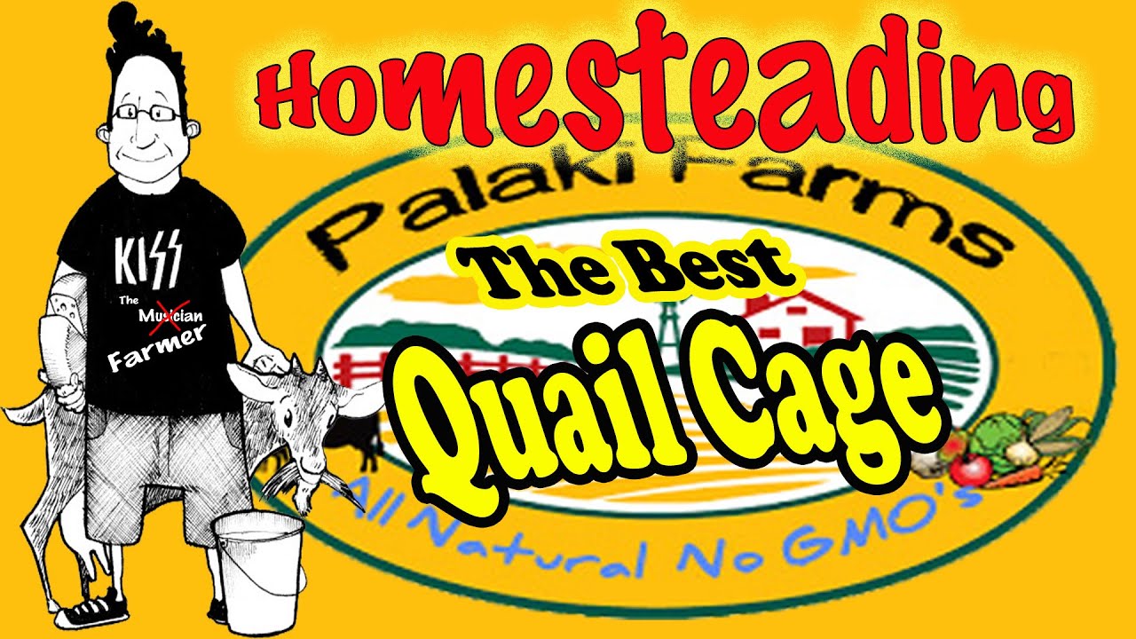 The Best Quail Cage