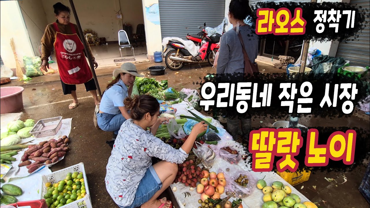 ep522 비 오는 날 아침 장보기