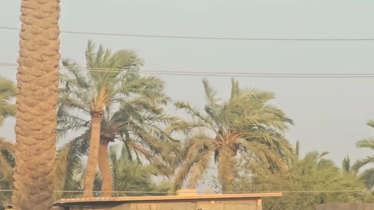 ٩ فبراير ٢٠٢٦