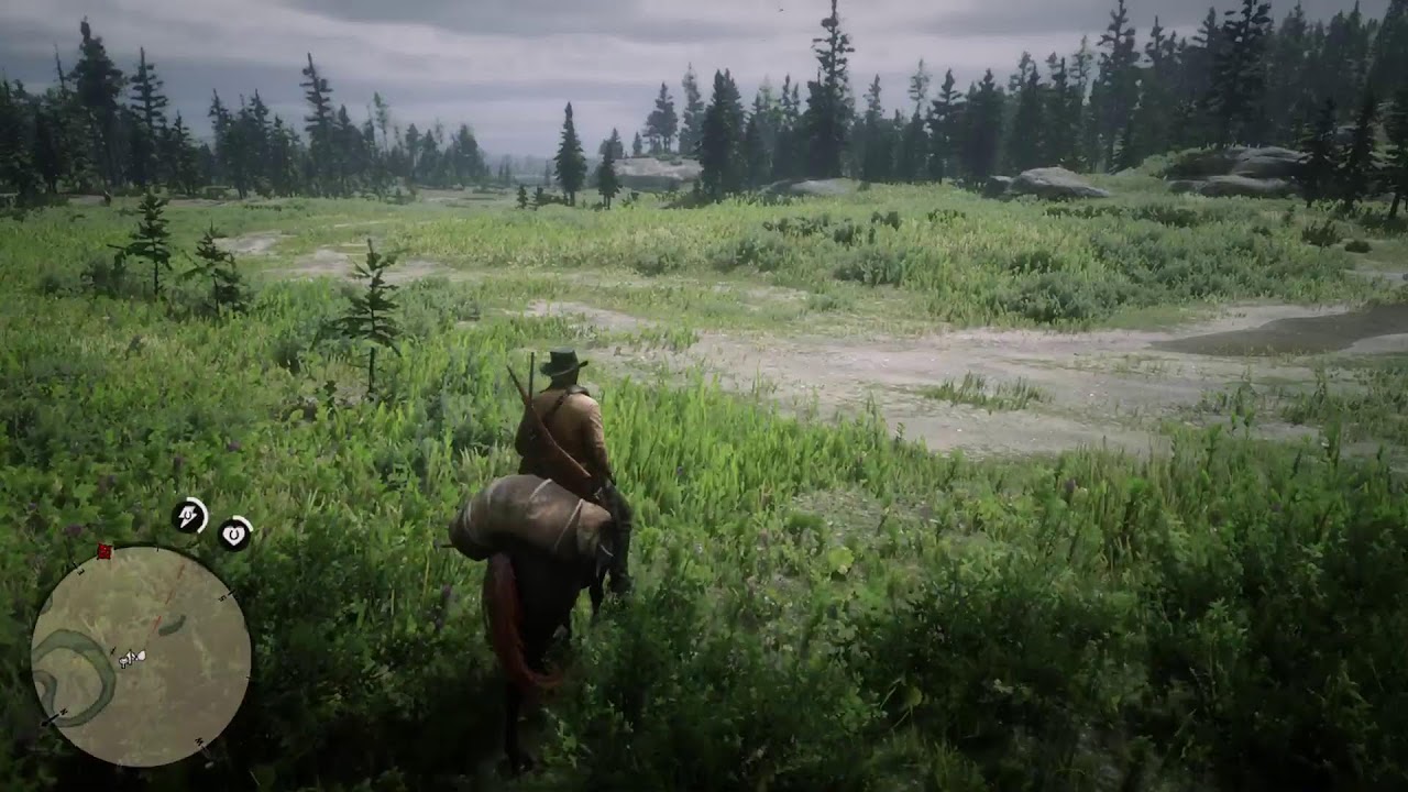 Red Dead Redemption 2