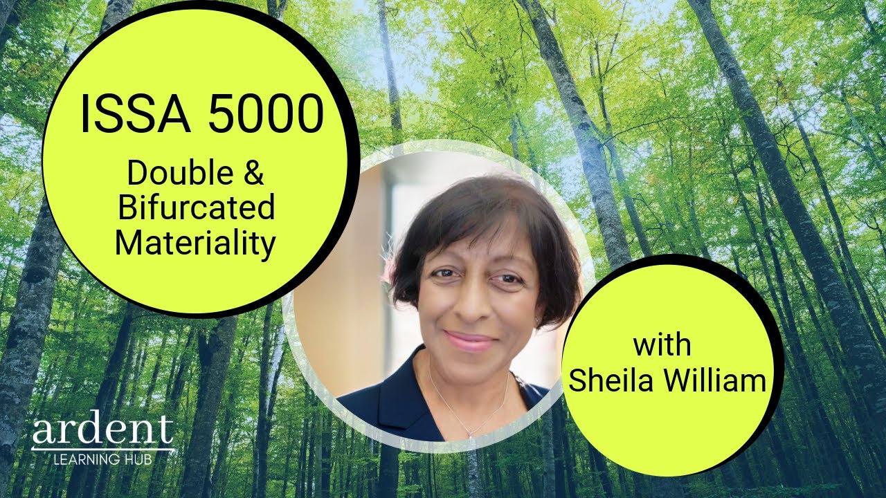 ISSA 5000 | Double & Bifurcated Materiality Explained