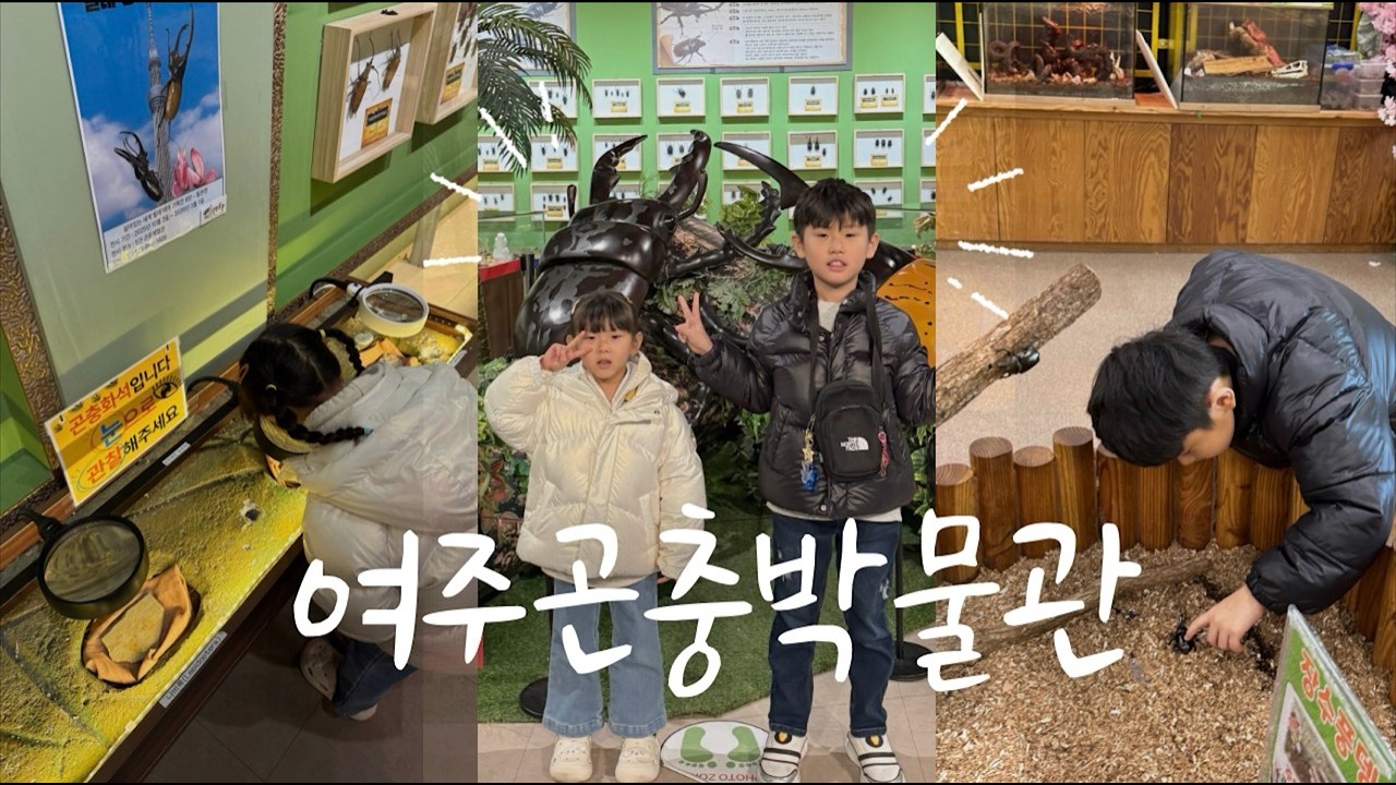 아이랑 여주 곤충 박물관