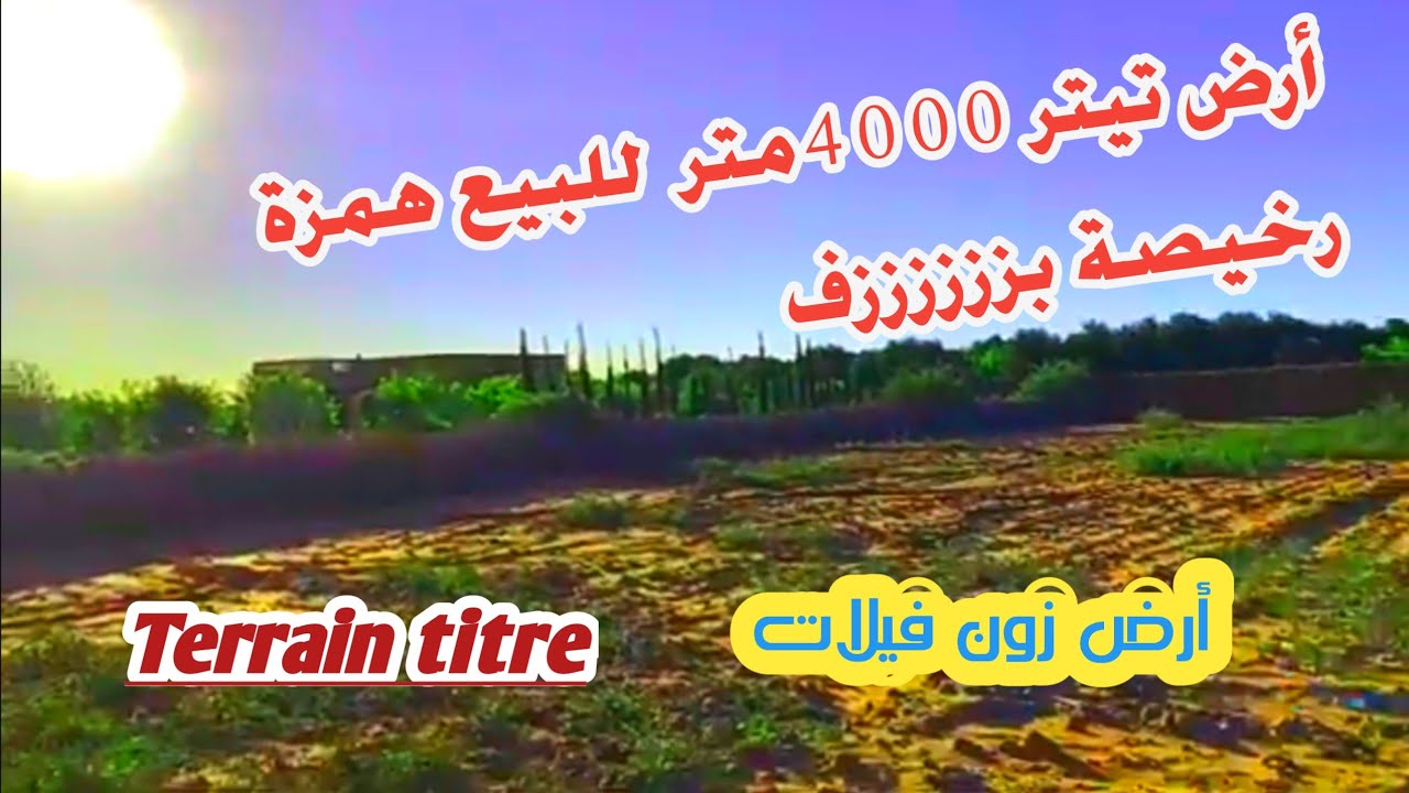 أرض تيتر للبيع همزة رخيصة طريق سيدي رحال مراكش 0605668188