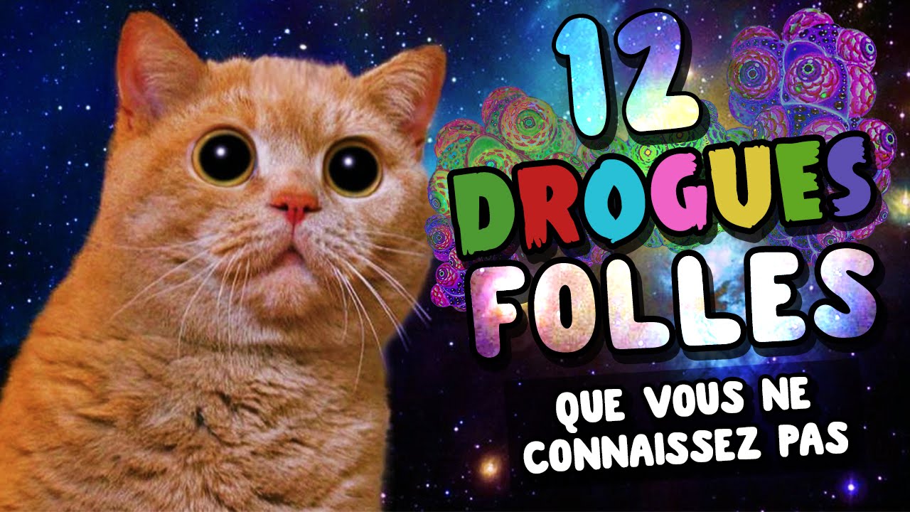 12 DROGUES FOLLES que tu ne connais pas