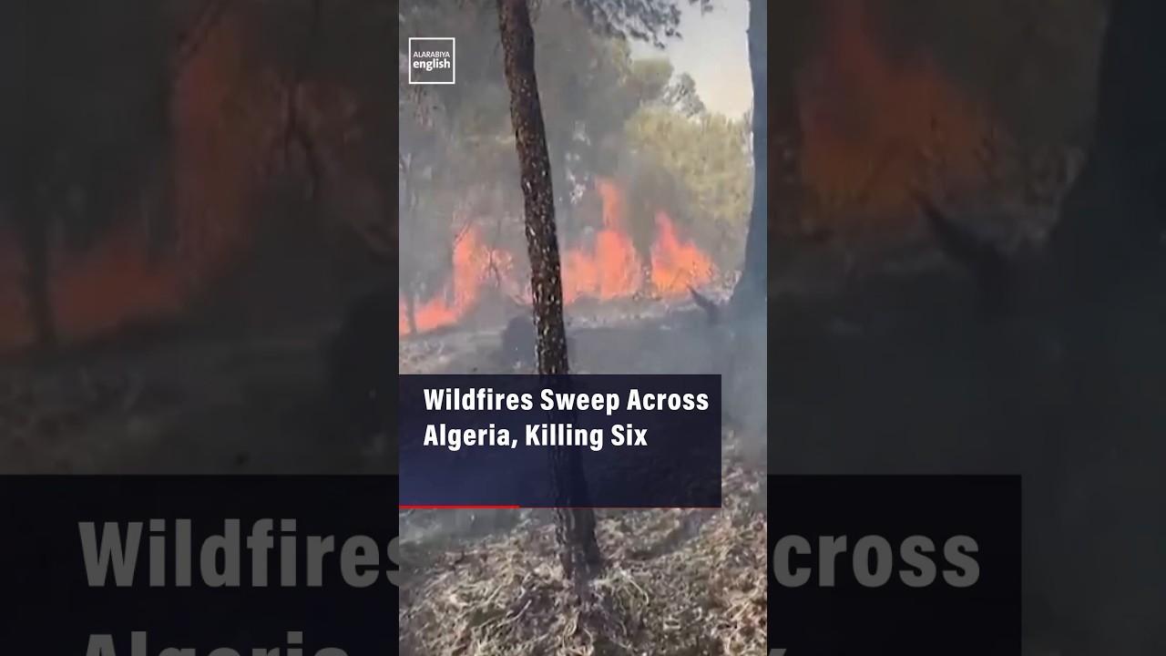 Wildfires Sweep Across Algeria, Killing Six