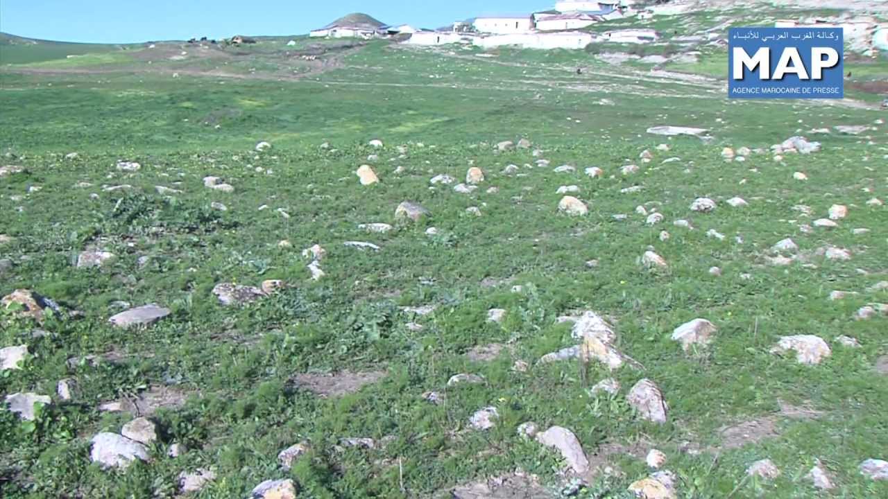 Seddina, un site historique découvert prés de Taounate