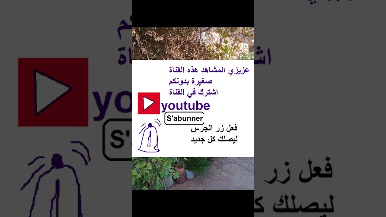 حزب الله لا إله إلا هو  /  قراءة جماعية للقرآن الكريم
