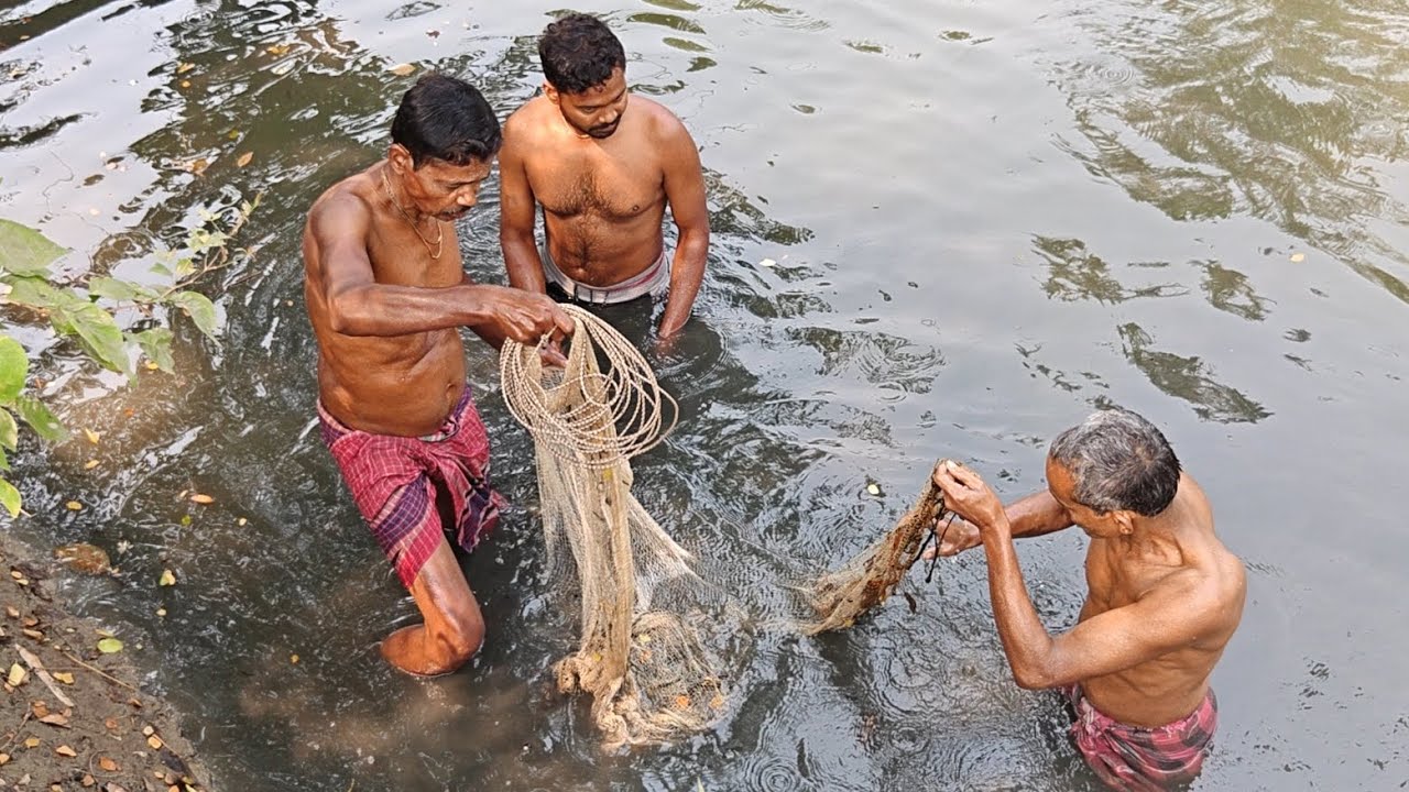 Net fishing in village pond🐟
