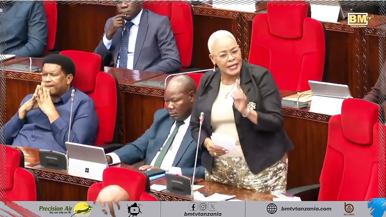 BULAYA: WATU WANASEMA SEMA TU NCHI HAIENDELEI KWA KUWA HAWASAFIRI