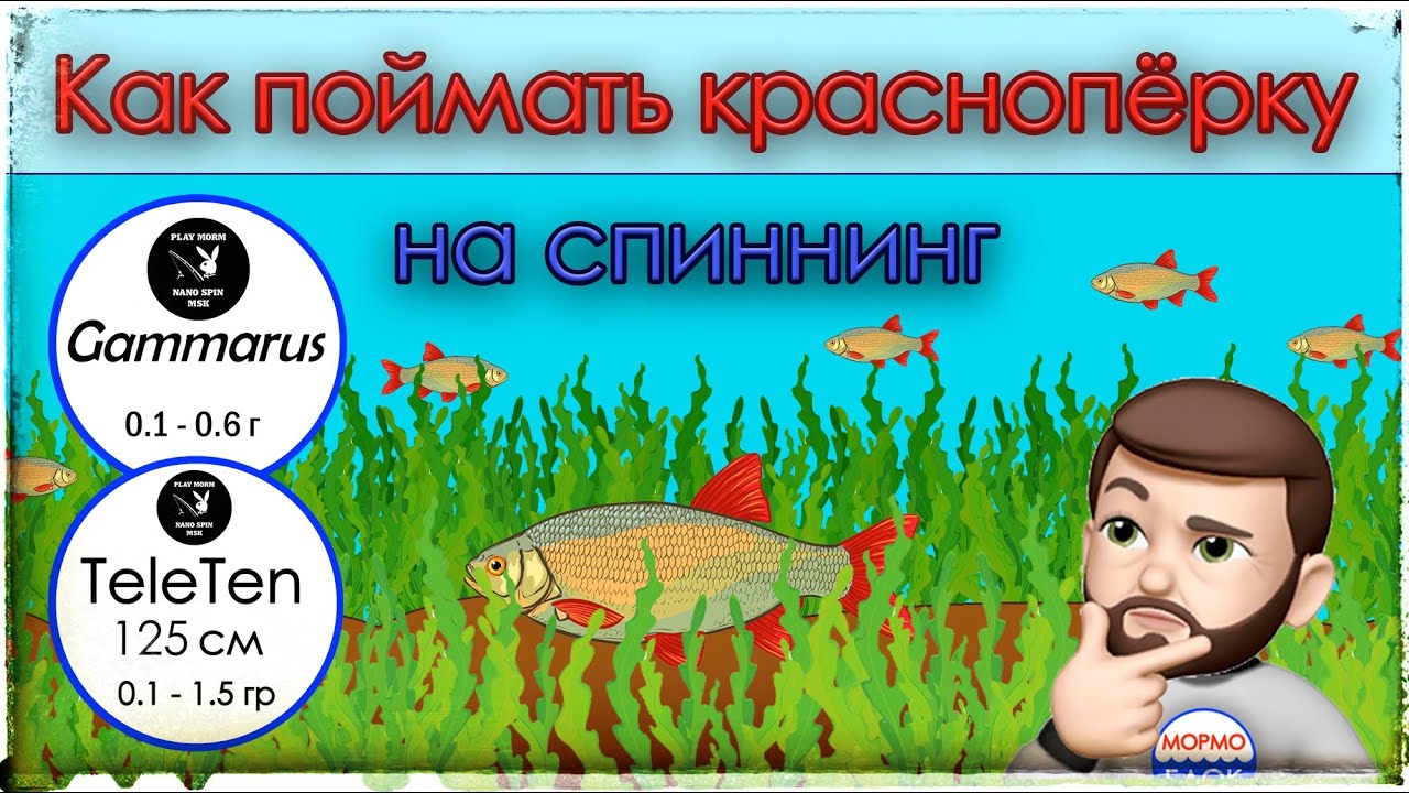 Как поймать краснопёрку на спиннинг. Мормышинг. Gammarus (0.1 - 0.6 г) / Tele Ten 125 ( 0.1 - 1.5 г)