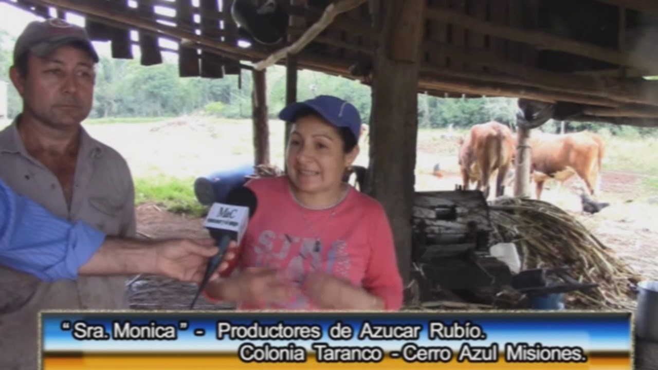 Proceso de fabricación de Azúcar rubio
