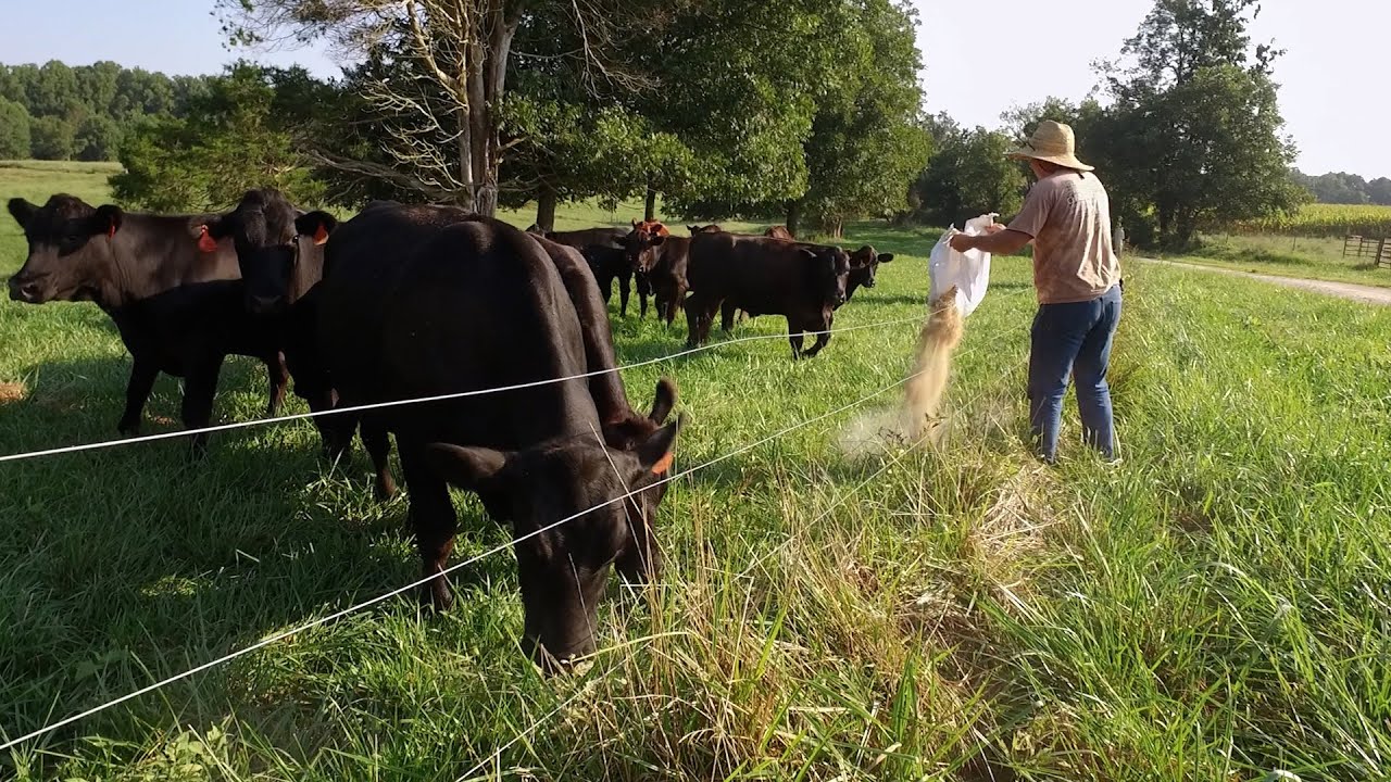 Full Episode | Farmer Mental Health and Suicide Prevention | ncIMPACT | PBS North Carolina