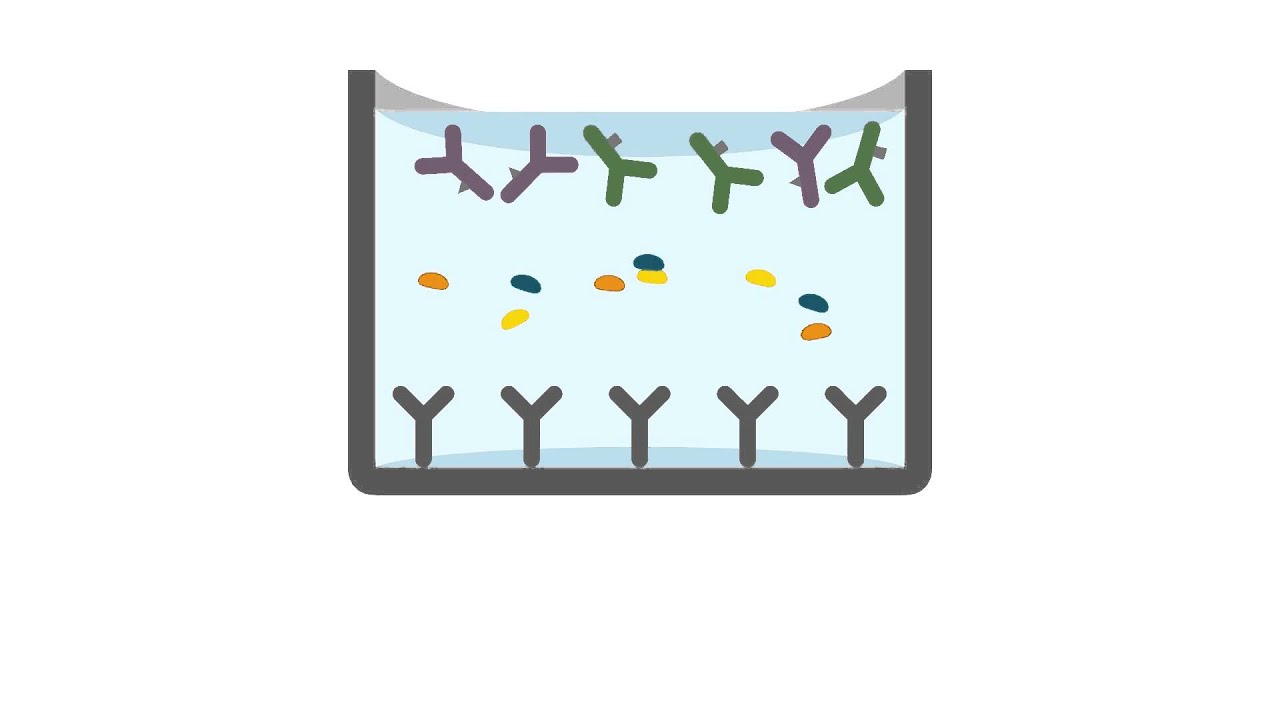 SimpleStep ELISA kit protocol
