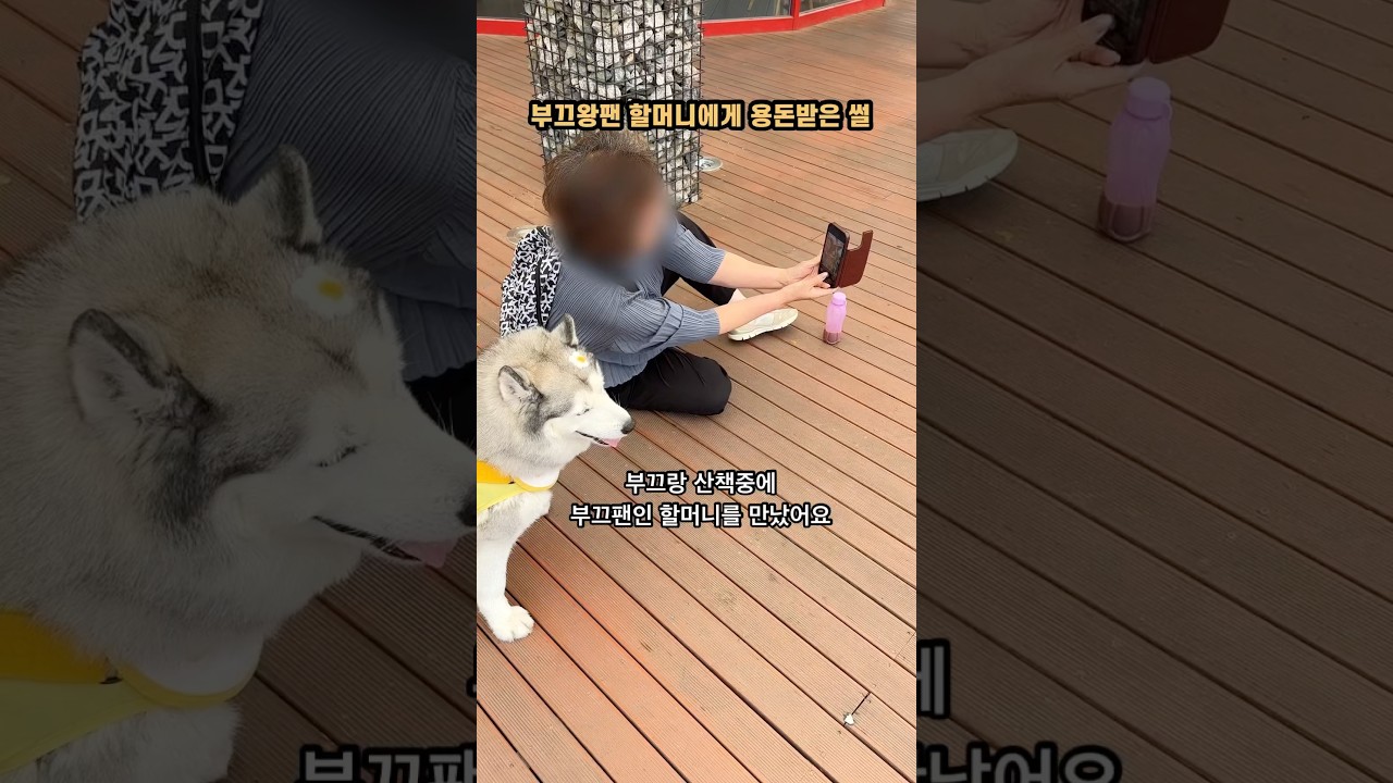 산책하다 부끄왕팬 할머니에게 용돈받은 썰