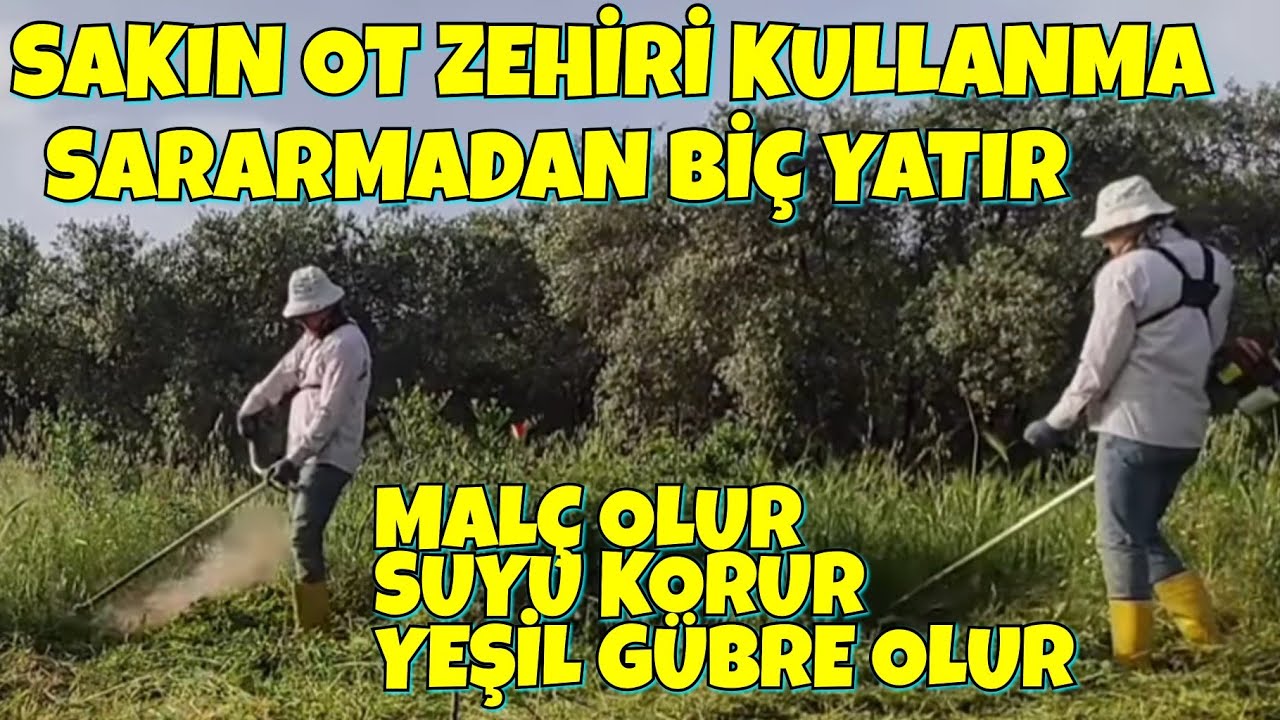 Topraklarınızı Doğal Azot ve Yeşil Gübre İle Coşturun