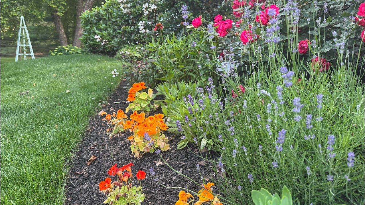 Early June Garden Tour🌸